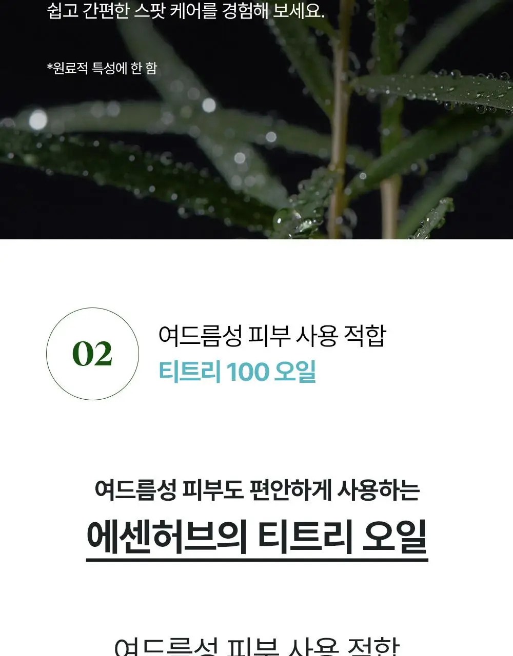[단독기획] 에센허브 티트리 100 오일 10ml 기획(+크림10ml+면봉 50P 증정) 상세페이지 10